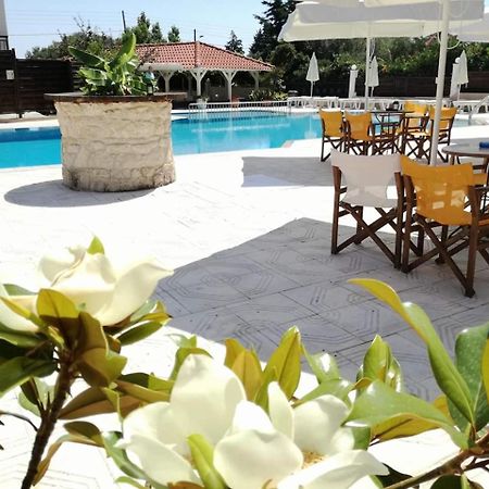 מולה קליבה Leonidas Apartments And Suites מראה חיצוני תמונה