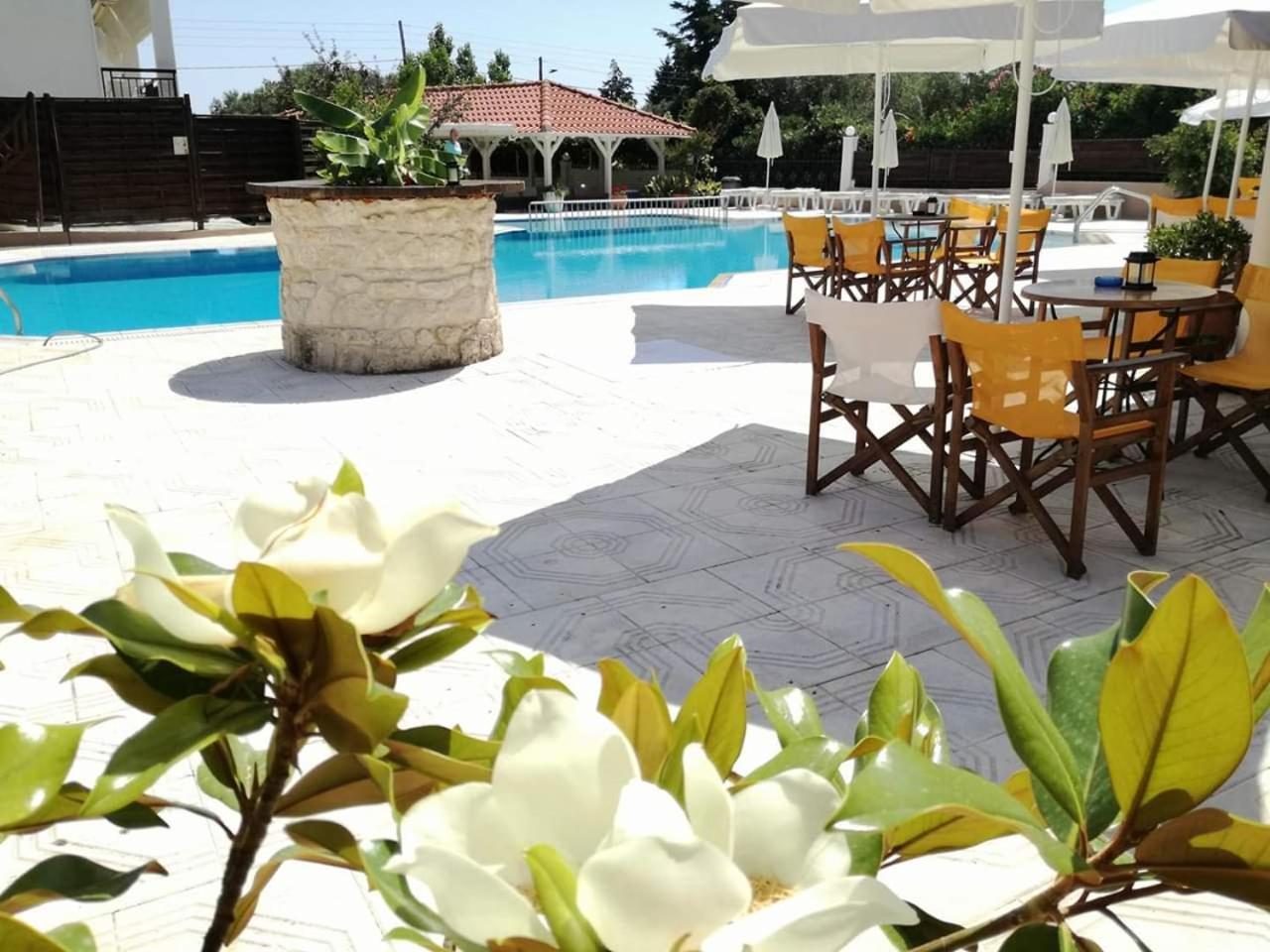 מולה קליבה Leonidas Apartments And Suites מראה חיצוני תמונה